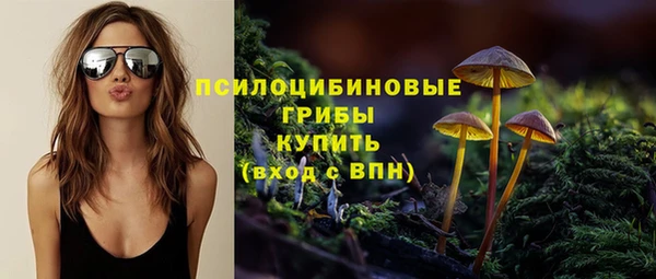 крисы Рославль