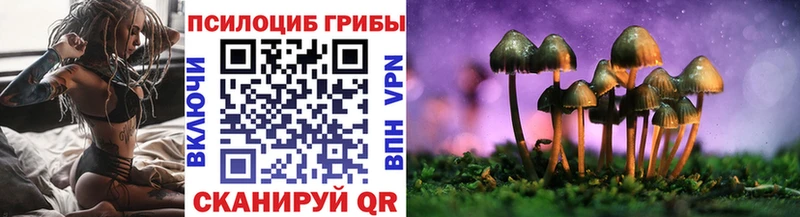 OMG tor  Сыктывкар  Псилоцибиновые грибы Psilocybine cubensis 